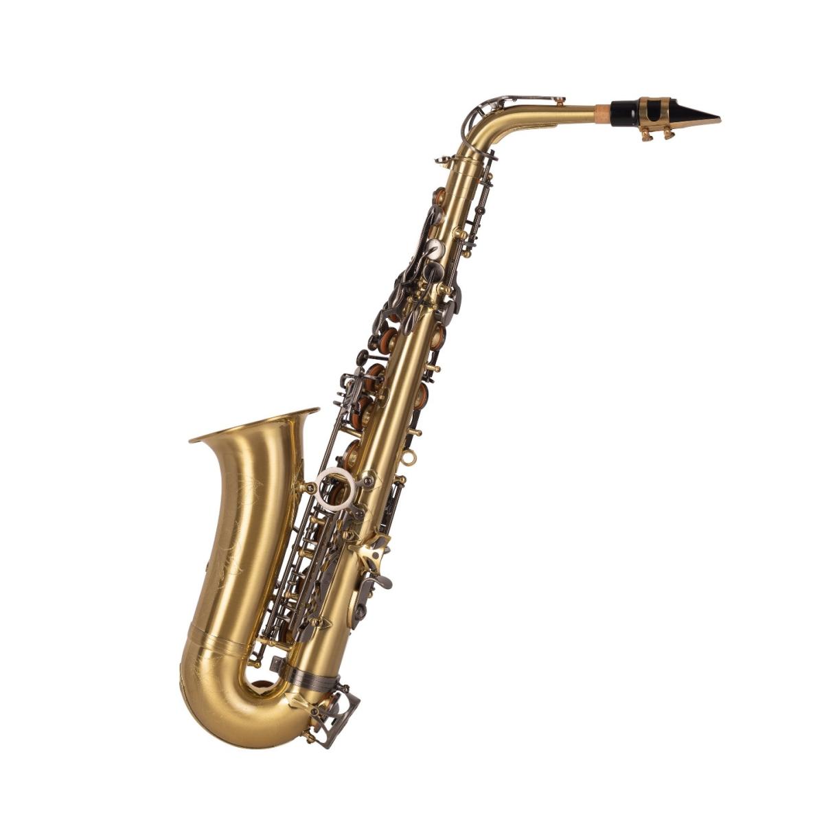 SAXO ALTO J. MICHAEL BPAL-AL1100AG