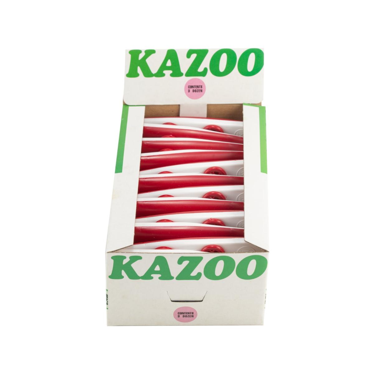 CAJA COMPLETA DE 36 KAZOOS DE PLÁSTICO BM