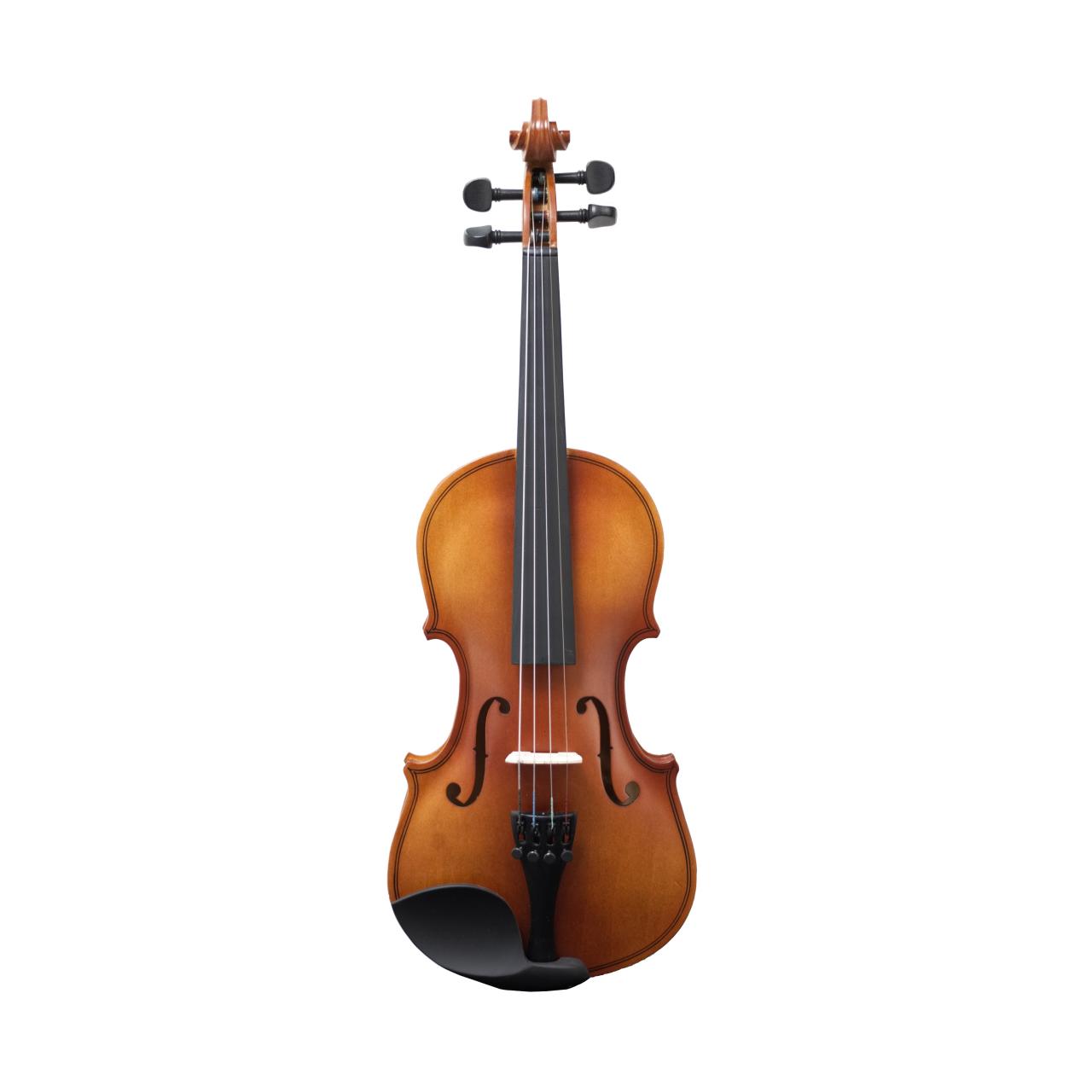 VIOLÍN AMADEUS VA-101 4/4